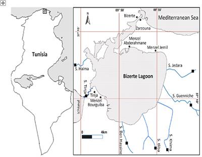 Assessment of social demand for environmental and cultural heritage preservation: evidence from a discrete choice experiment in Tunisia